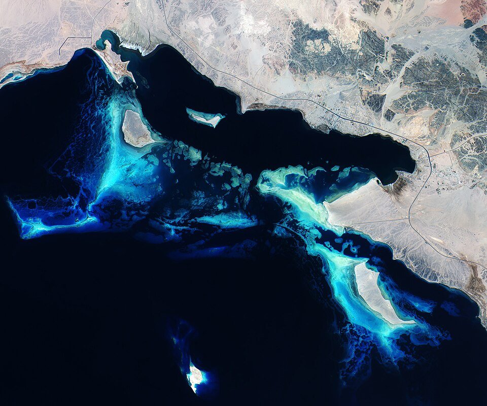 Deep blue Red Sea coral reefs near the Amaala development