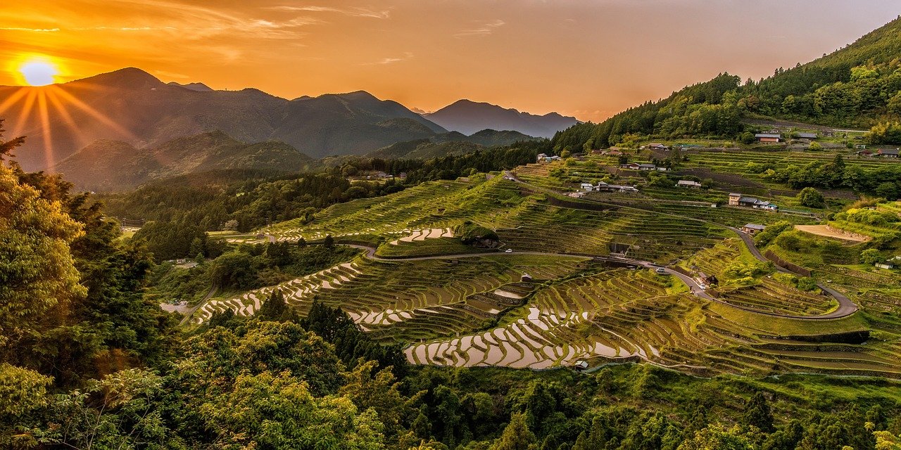 Terraced coffee farms in the mountains above Jazan, south west Saudi Arabia