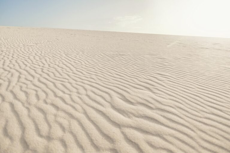 Desert Sand Dunes Heat - Saudi Cab Co ground transport guide