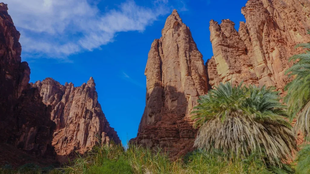 Sandstone cliffs and palms in Wadi Disah, Tabuk region, Saudi Arabia