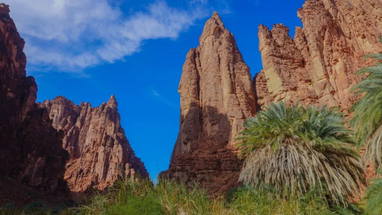 Sandstone cliffs and palms in Wadi Disah, Tabuk region, Saudi Arabia